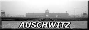 Auschwitz Konsentrasjonsleir Turer