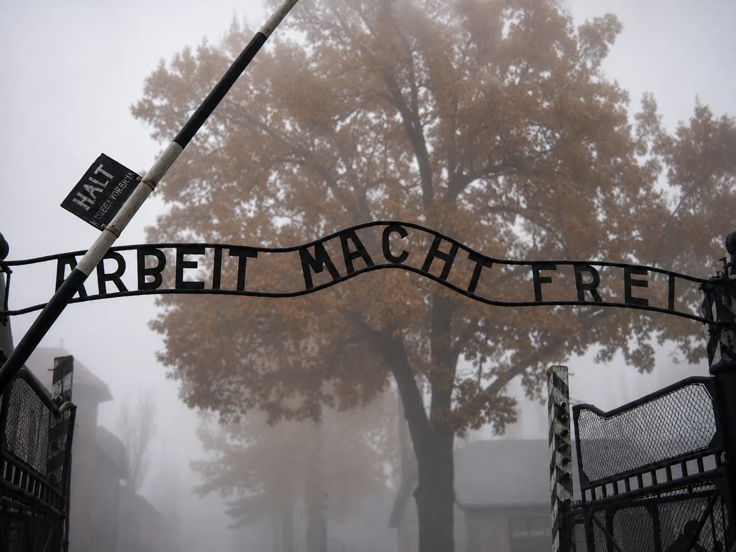 Auschwitz-Birkenau tour from Krakow
