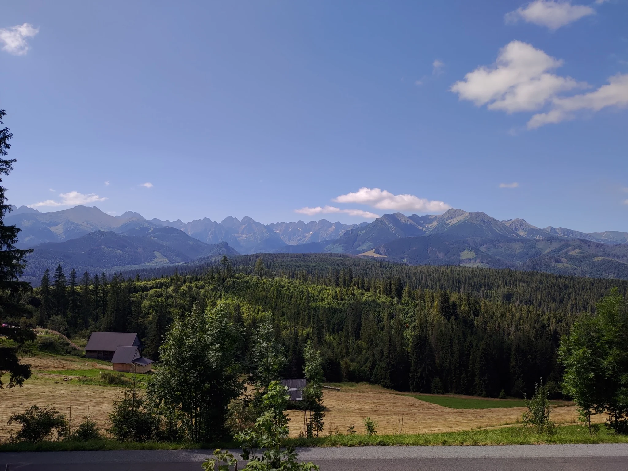 Summer panorama of the Tatra Mountains near Zakopane