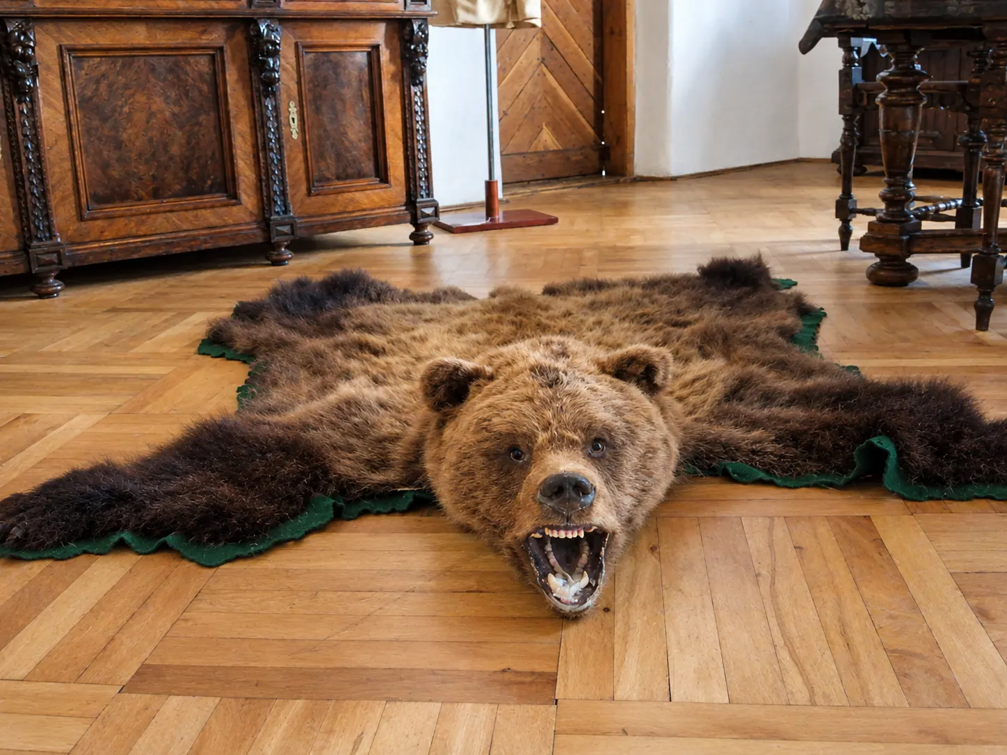 Historic bear exhibit inside Orava Castle