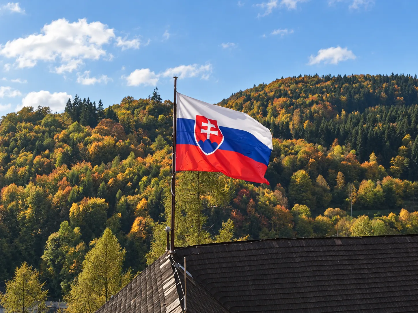 Slovak flag with the forested Orava landscape