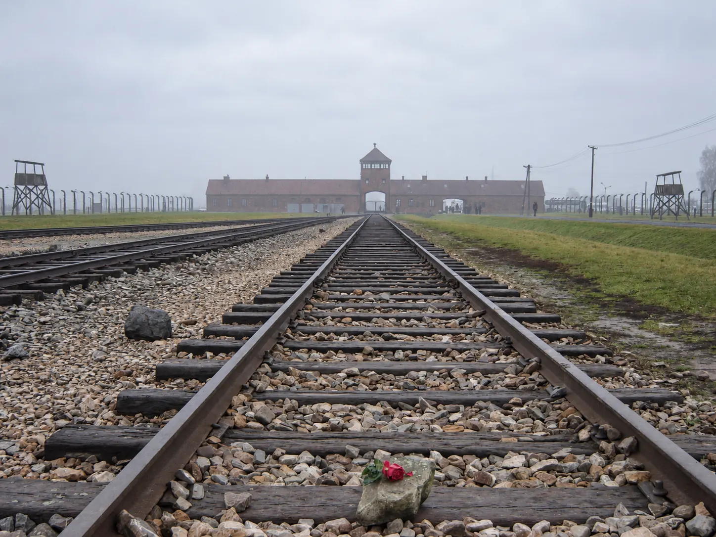 Railway tracks and a memorial rose at Auschwitz II-Birkenau
