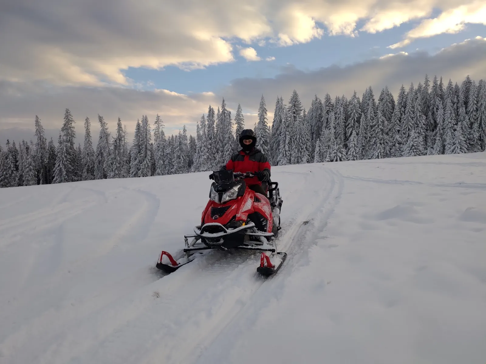 Snowmobile rider on a snowy forest route in the Tatra region